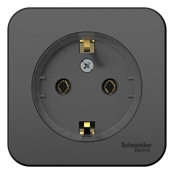 Розетка 1-м ОП Blanca 16А IP20 250В с заземл. без защ. шторок с изолир пласт. антрац. SE BLNRA110116