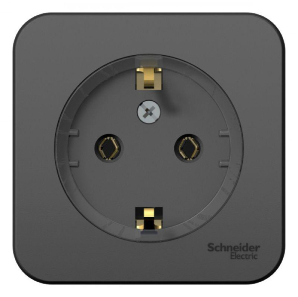 Розетка 1-м ОП Blanca 16А IP20 250В с заземл. без защ. шторок с изолир пласт. антрац. SE BLNRA110116