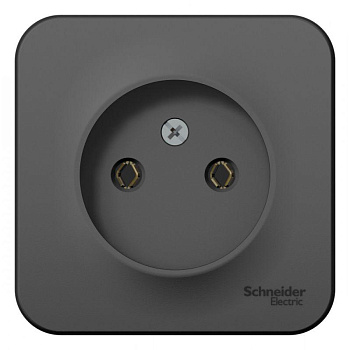 Розетка 1-м ОП Blanca 16А IP20 250В без заземл. без защ. шторок с изолир.пласт.антрацит SE BLNRA000116