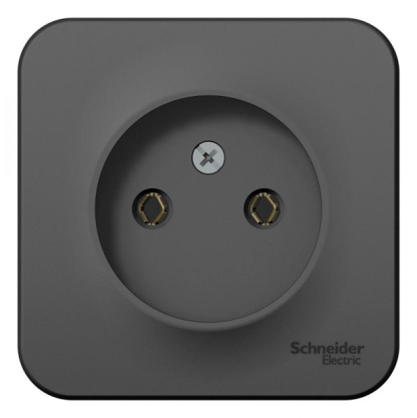 Розетка 1-м ОП Blanca 16А IP20 250В без заземл. без защ. шторок с изолир.пласт.антрацит SE BLNRA000116