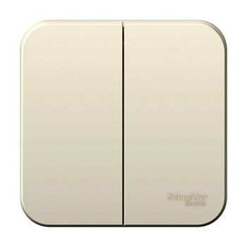 Выключатель 2-кл. ОП Blanca 10А IP20 (сх.5) 250В с изолир. пластиной молочный SE BLNVA105012