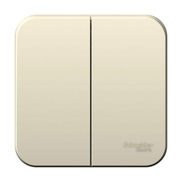 Выключатель 2-кл. ОП Blanca 10А IP20 (сх.5) 250В с изолир. пластиной молочный SE BLNVA105012