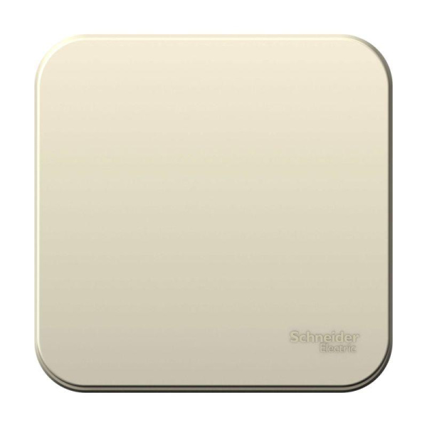 Выключатель 1-кл. ОП Blanca 6А IP20 (сх.1) 250В с изолир. пластиной молочный SE BLNVA061012