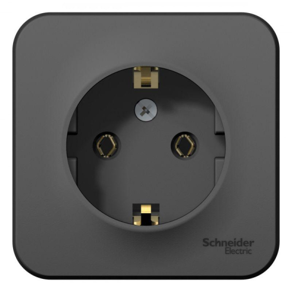 Розетка 1-м ОП Blanca 16А IP20 250В с заземл. без защ. шторок с изолир. пласт. антрацит SE BLNRA010116