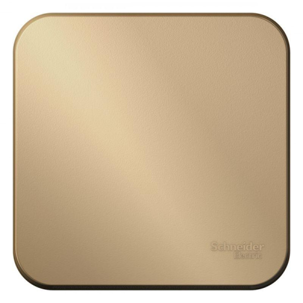 Выключатель 1-кл. ОП Blanca 10А IP20 (сх.1) 250В c изолир. пластиной титан SE  BLNVA101014