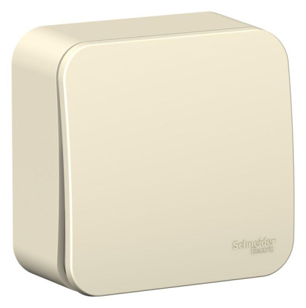 Переключатель проходной 1-кл. ОП Blanca 10А IP20 (сх.6) 250В с изолир.пласт. молочн. SE BLNVA106012