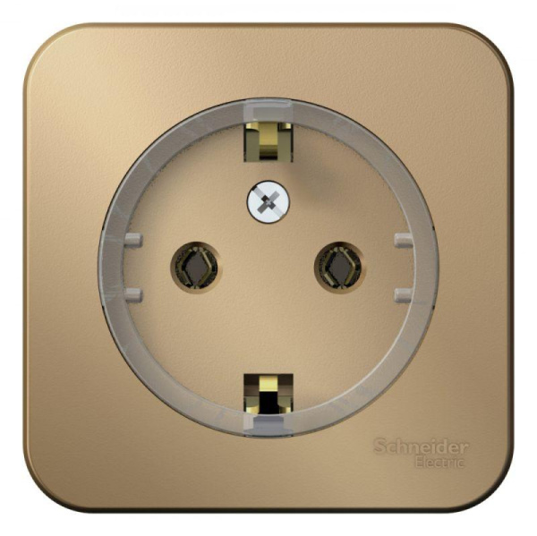 Розетка 1-м ОП Blanca 16А IP20 250В с заземл. без защ. шторок с изолир пласт. титан SE BLNRA110114