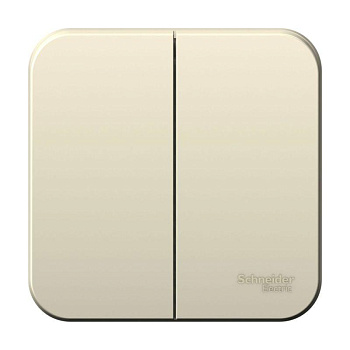 Выключатель 2-кл. ОП Blanca 6А IP20 (сх.5) 250В с изолир. пластиной молочный SE BLNVA065012