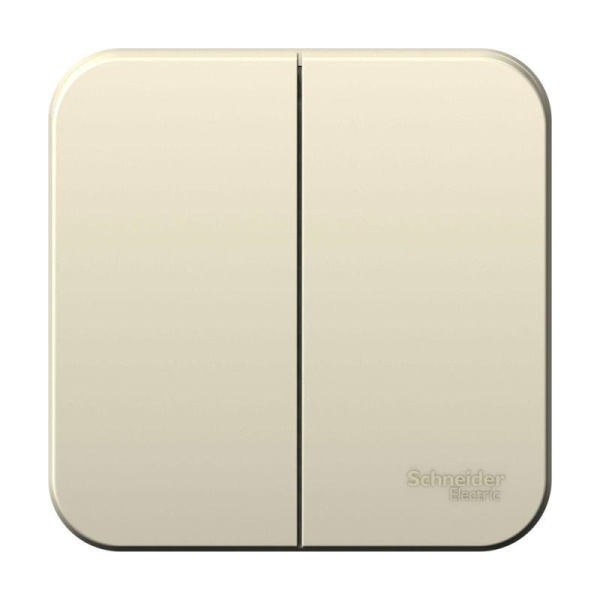 Выключатель 2-кл. ОП Blanca 6А IP20 (сх.5) 250В с изолир. пластиной молочный SE BLNVA065012
