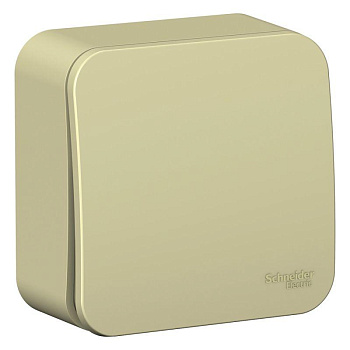 Выключатель 1-кл. ОП Blanca 10А IP20 (сх.1) 250В с изолир. пластиной беж. SE BLNVA101017