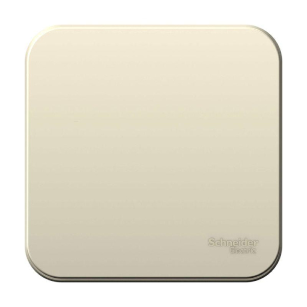 Выключатель 1-кл. ОП Blanca 10А IP20 (сх.1) 250В c изолир. пластиной молочный SE  BLNVA101012