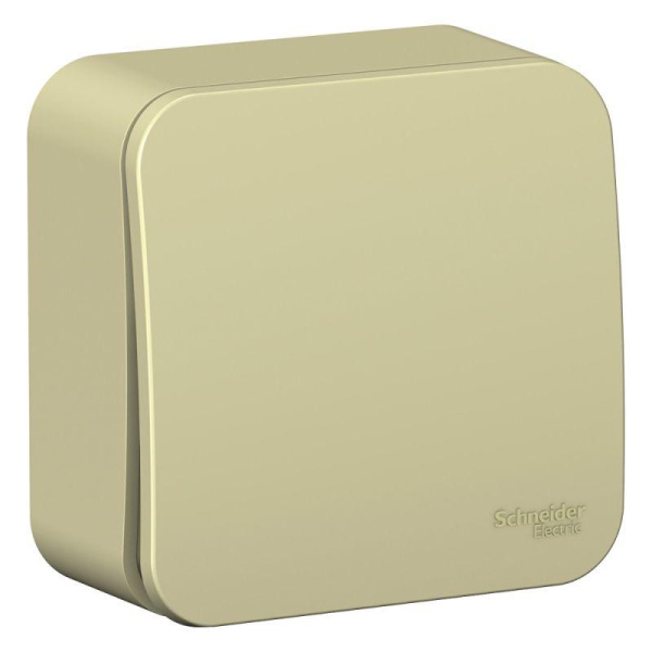 Переключатель проходной 1-кл. ОП Blanca 10А IP20 (сх.6) 250В с изолир. пластиной беж SE BLNVA106017