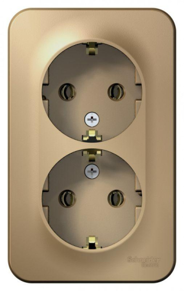 Розетка 2-м ОП Blanca 16А IP20 250В с заземл. без защ. шторок с изолир. пласт. титан SE BLNRA010214