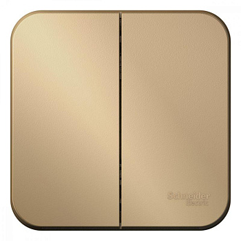 Выключатель 2-кл. ОП Blanca 10А IP20 (сх.5) 250В с изолир. пластиной титан SE BLNVA105014