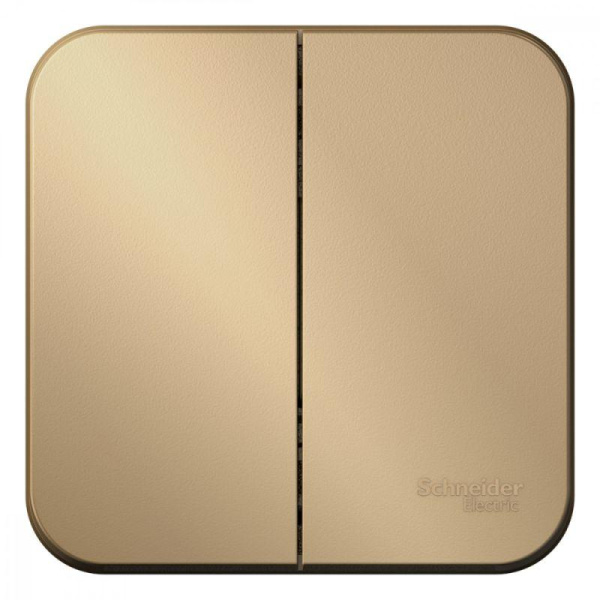 Выключатель 2-кл. ОП Blanca 10А IP20 (сх.5) 250В с изолир. пластиной титан SE BLNVA105014